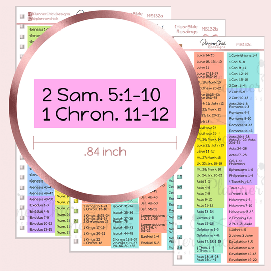 One Year Bible Reading